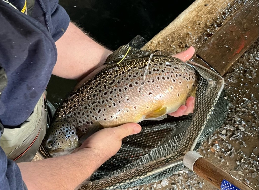 2023 Adult Trout Derby – Wilmore Sportsman's Club